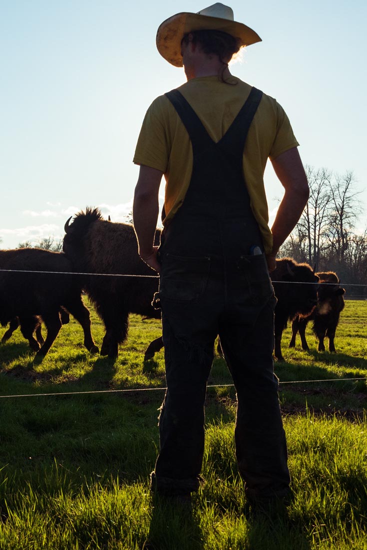 Maturation de la viande