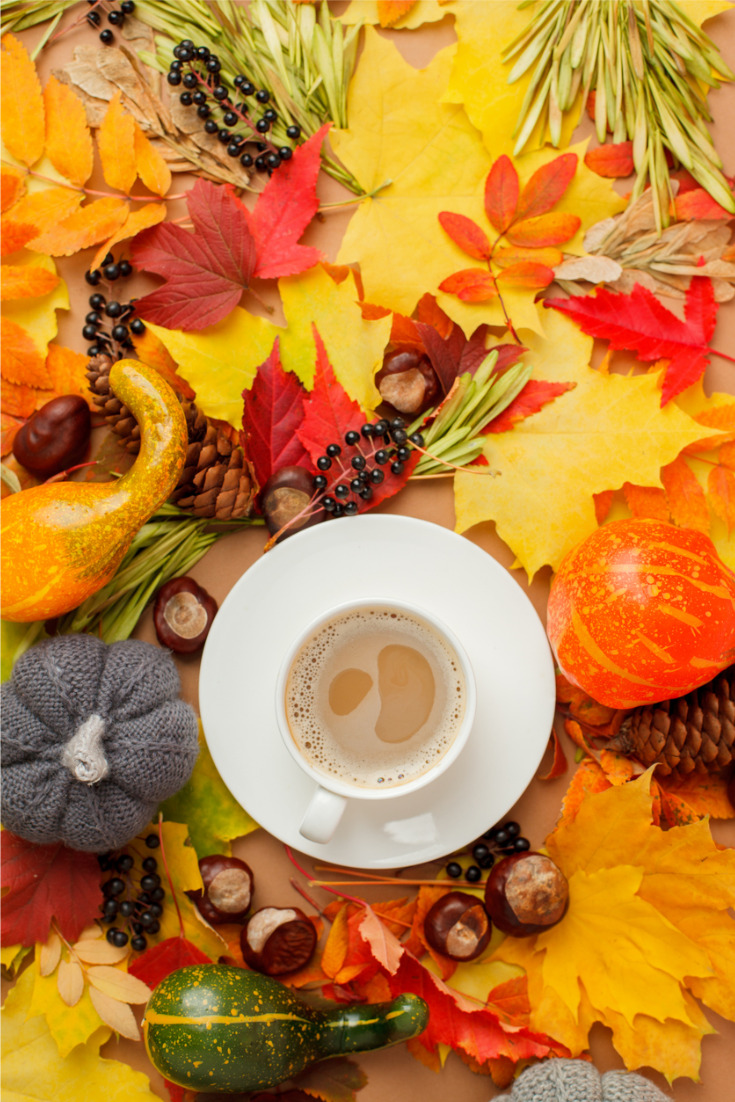 Réussir la cuisine d’automne