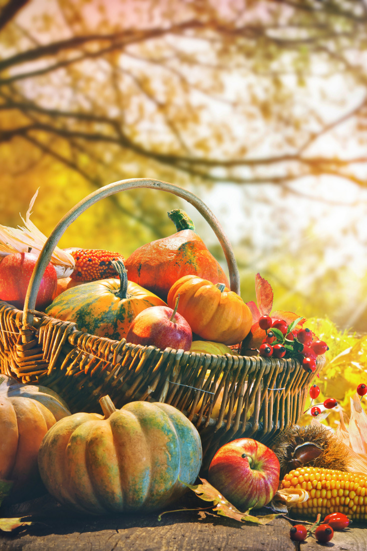 Quel matériel de cuisine pour sublimer les légumes d’automne