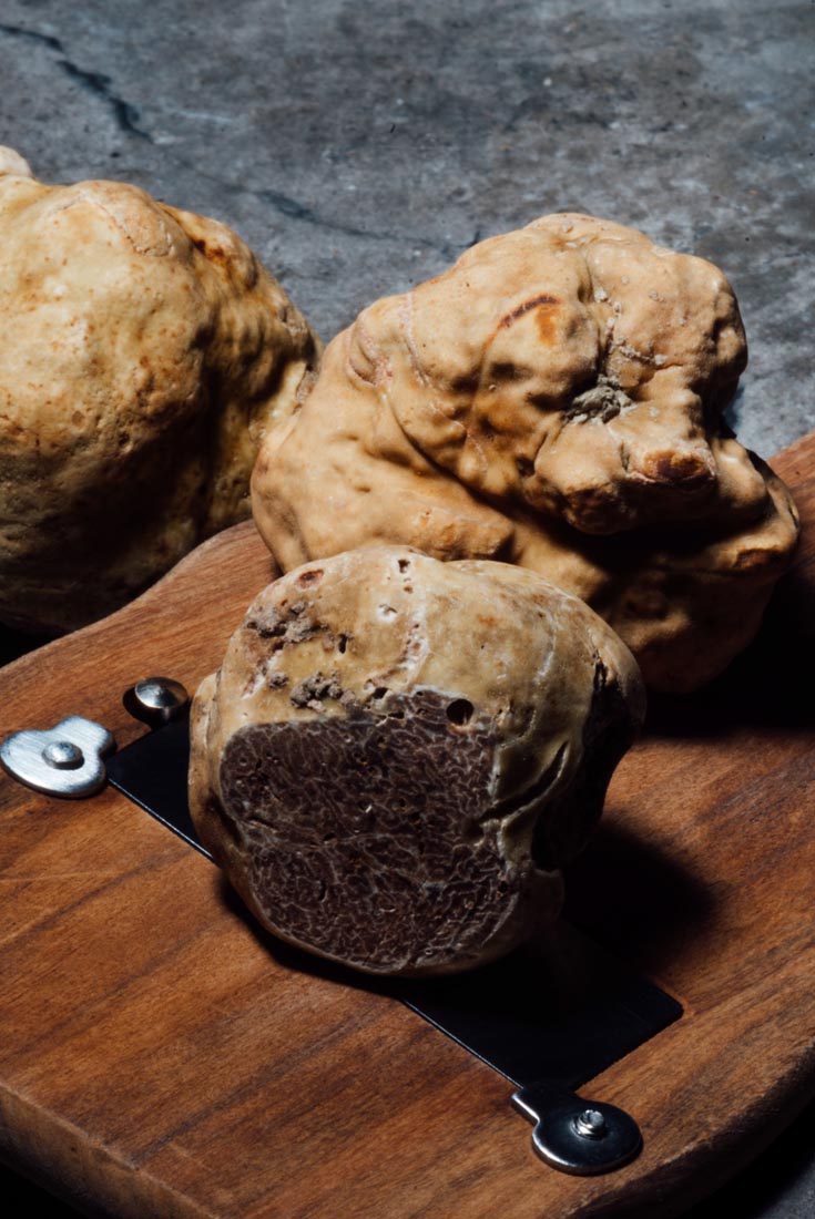 Les différentes truffes